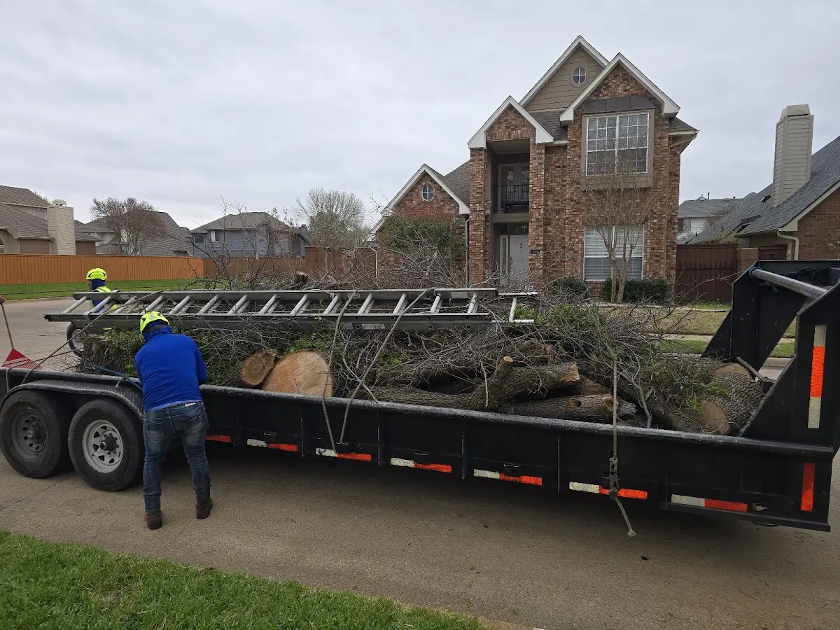 Expert Tree Fertilization with proper safety equipment in Cape Canaveral